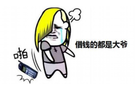 历城为什么选择专业追讨公司来处理您的债务纠纷？